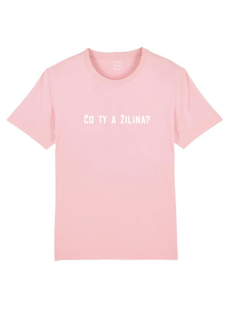 Čo ty a Žilina?