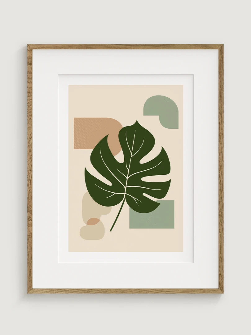 Monstera Minimal