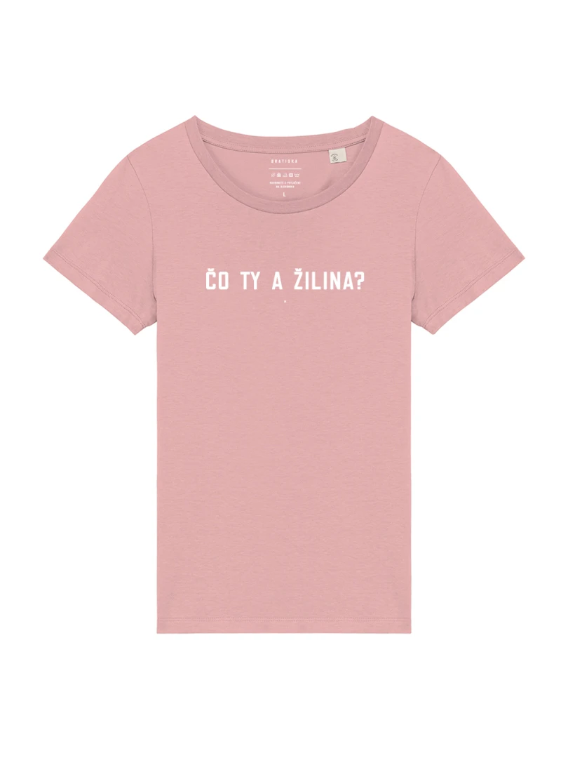 Čo ty a Žilina?