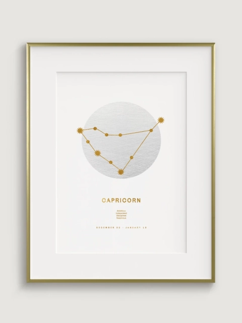 Zodiac Sign Capricorn