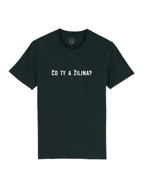 Čo ty a Žilina?