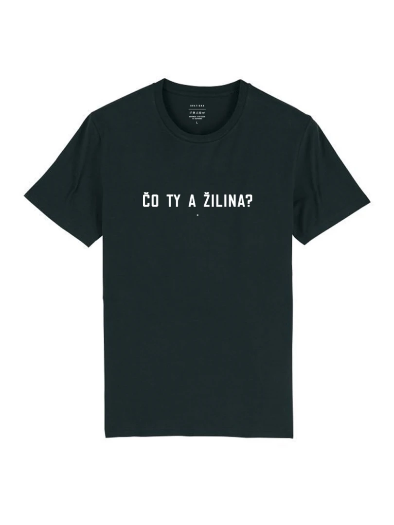 Čo ty a Žilina?