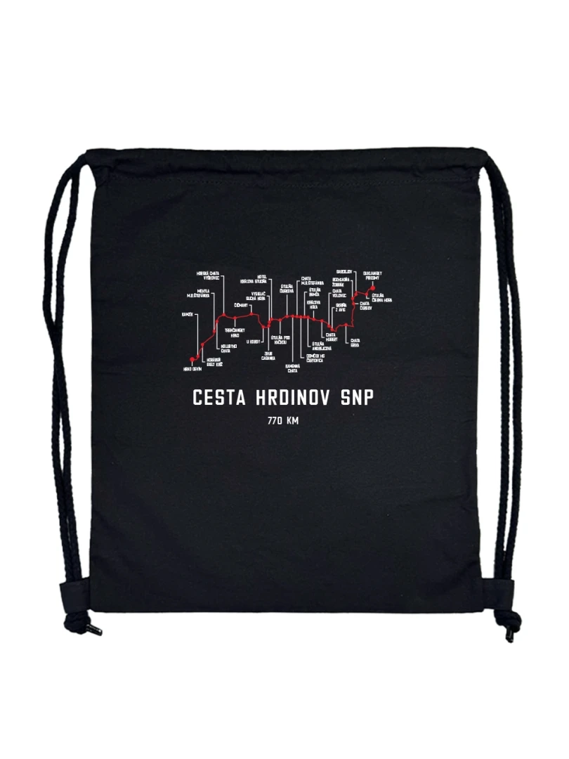 Cesta SNP