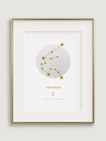 Zodiac Sign Aquarius