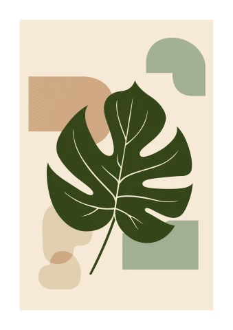 Monstera Minimal