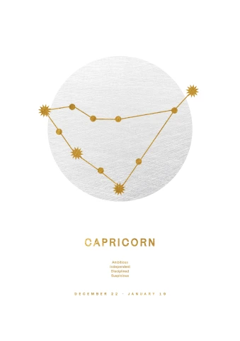 Zodiac Sign Capricorn
