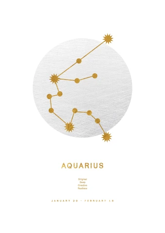 Zodiac Sign Aquarius