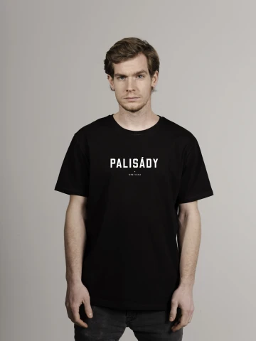 Palisády