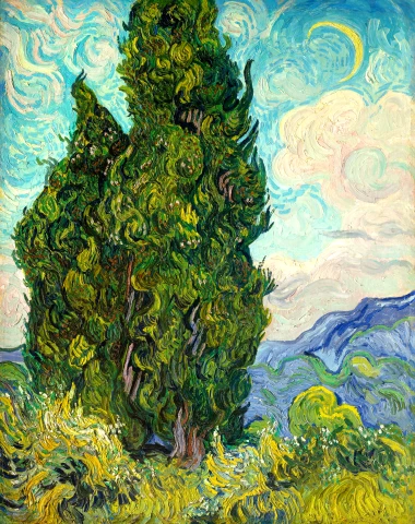 Cyprusy, Vincent Van Gogh, 1889