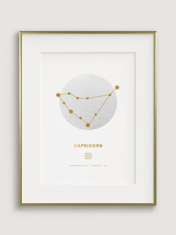 Zodiac Sign Capricorn