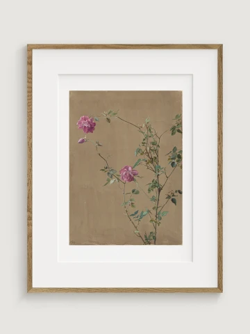 Pink Roses, Fidelia Bridges, 1875