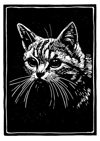 Mačka, Ruth Mary Hallock, 20. storočie