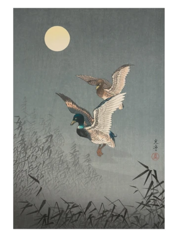 Kačky, Tsuchiya Kōitsu, 1940