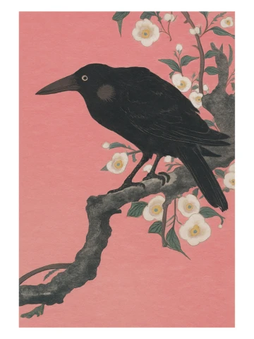 Vrana na čerešňovej vetve, Ohara Koson, c.1910