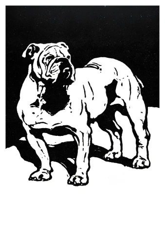 Britský Bulldog, William Nicholson, 1899