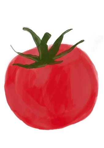 Paradajka